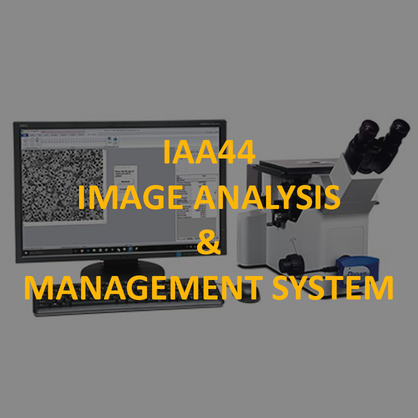 IA44-text