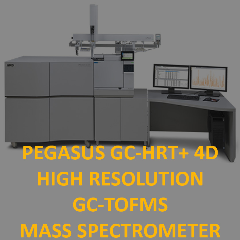 pegasus-gc-drt-4d-TEXT